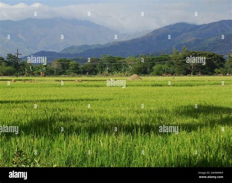 Category:Plains of the Philippines .